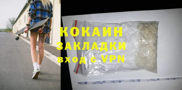 твердый Богородск