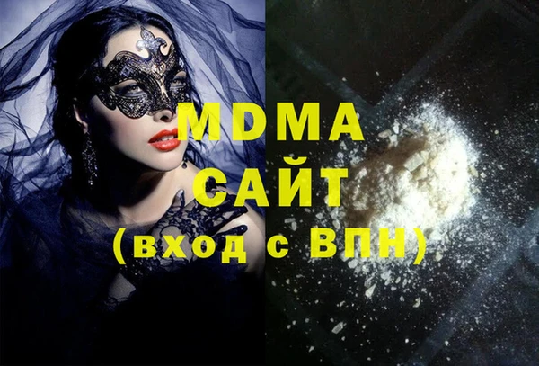 молекула духа Богданович