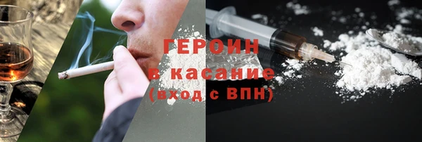 молекула духа Богданович
