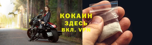 твердый Богородск