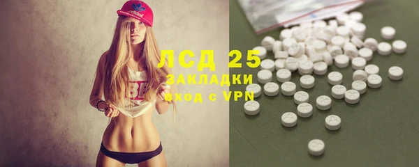 молекула духа Богданович