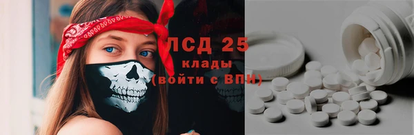 молекула духа Богданович