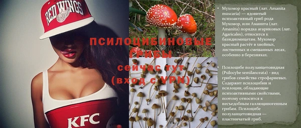 молекула духа Богданович