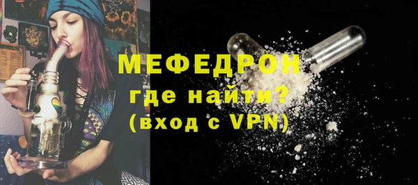 молекула духа Богданович