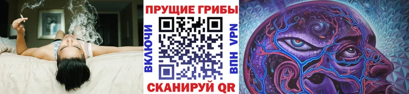 Псилоцибиновые грибы Cubensis  Тотьма 